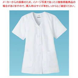 【まとめ買い10個セット品】女性用調理衣 半袖 FA-332 L【ECJ】