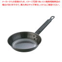 遠藤商事 / TKGブルーテンパー ハンマーフライパン 16cm【人気 業務用 販売 楽天 通販】【ECJ】