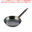 遠藤商事 / TKGブルーテンパー ハンマーフライパン 24cm【人気 業務用 販売 楽天 通販】【ECJ】