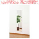 【まとめ買い10個セット品】姿見 RM-4A【ECJ】