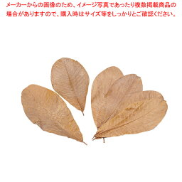 【まとめ買い10個セット品】朴葉 100枚入 M【調理器具 厨房用品 厨房機器 プロ 愛用 販売 なら 名調】【ECJ】