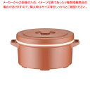 プラスチック保温食缶みそ汁用 DF-M2(小)【フードコンテナー 保温コンテナ 業務用】【ECJ】