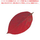 【まとめ買い10個セット品】型抜きクリアシート(200枚入) 65369 柿の葉【 料理演出用品 敷き小物 料理演出用品 敷き小物 業務用】【ECJ】