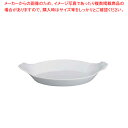 1-2326-0401 9-2305-0401 RAP0609 001-0073868-101【APILCO(アピルコ) 洋食器 販売 通販 楽天 業務用】