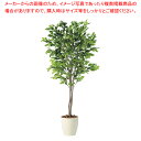 SG ベンジャミナ スプラッシュトリプル 90714 1.5m【人工樹木 作り物】【厨房用品 調理器具 料理道具 小物 作業 厨房用品 調理器具 料理道具 小物...