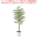 SG ベンジャミナ スターライト 90720 1.5m【人工樹木 作り物】【厨房用品 調理器具 料理道具 小物 作業 厨房用品 調理器具 料理道具 小物 作業 ...
