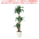 SG マッサンゲアナ 90746 1.7m【人工樹木 作り物】【厨房用品 調理器具 料理道具 小物 作業 厨房用品 調理器具 料理道具 小物 作業 業務用】【E...