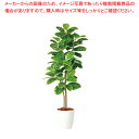 SG アルテシマ株立FST 98942 1.5m【人工樹木 作り物】【メーカー直送/代引不可 人気 業務用 販売 楽天 通販】【ECJ】