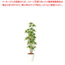 SG ソング・オブ・インディアFST 98903 1.5m【メーカー直送/代引不可 人気 業務用 販売 楽天 通販】【ECJ】