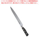 グレステンWタイプ プロティナイフ 025WK 25cm【洋包丁 洋庖丁 業務用】【ECJ】
