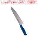 遠藤商事 / TKG-NEO(ネオ)カラー 牛刀 27cm ブルー【ECJ】