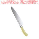 遠藤商事 / TKG PRO 抗菌カラー 牛刀 27cm イエロー【洋包丁 牛刀 肉包丁 肉屋の包丁 牛刀包丁 お勧め包丁 シェフナイフ 通販 牛刀 牛刃 シェ...