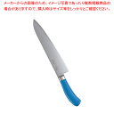 遠藤商事 / TKG PRO 抗菌カラー 牛刀 27cm ブルー【洋包丁 牛刀 肉包丁 肉屋の包丁 牛刀包丁 お勧め包丁 シェフナイフ 通販 牛刀 牛刃 シェフ...