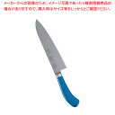 【まとめ買い10個セット品】遠藤商事 / エコクリーン TKG PRO カラー牛刀 21cm ブルー【 西洋 包丁 人気 野菜 包丁 おすすめ 万能 包丁 オス...