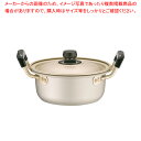 【まとめ買い10個セット品】アカオ しゅう酸 実用鍋(硬質) 16cm【ECJ】