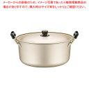【まとめ買い10個セット品】アカオ しゅう酸 実用鍋(硬質) 39cm【ECJ】