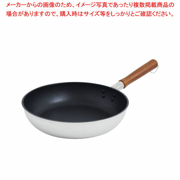   ե饤ѥ 22cmECJ