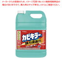 カビキラー 業務用 詰め替え 5kg【ECJ】