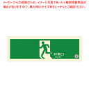 避難口誘導標識ステッカー(中輝度蓄光式) TSN804【ECJ】