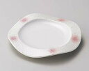 【まとめ買い10個セット品】和食器 ミ204-178 ピンクボカシラスター和皿【キャンセル/返品不可】【ECJ】