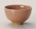 和食器 テ390-158 紅亀甲貫入煎茶【ECJ】