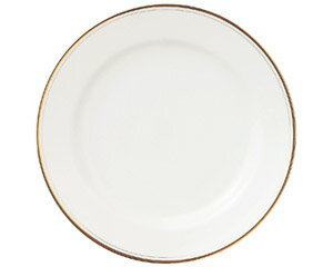 【まとめ買い10個セット品】 ア569-548B ハイテクゴールド(無地) 10インチミート【キャンセル/返品不可】【ECJ】