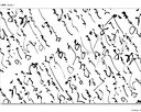 【まとめ買い10個セット品】 オ747-108 ラミペーパーRP-JB5 万葉四季紙 182×257mm(B5)【キャンセル/返品不可】【ECJ】