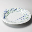 【まとめ買い10個セット品】和食器 ミ311-038 二色打ち 8.0皿【ECJ】