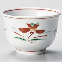 【まとめ買い10個セット品】和食器 ホ388-038 赤絵花紋反煎茶【ECJ】
