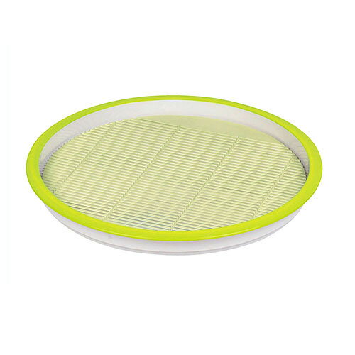 彩創 麺プレート 丸 [ すのこ付 ] グリーン [パール金属]【そば そうめん そば そうめん 彩創 麺プレート 丸 すのこ付】【ECJ】