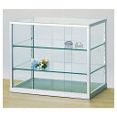 【まとめ買い10個セット品】 アップケース W45×H38.7cm 61-106-6-1【メーカー直送/代金引換決済不可】【店舗什器 パネル 壁面 小物 ディス...