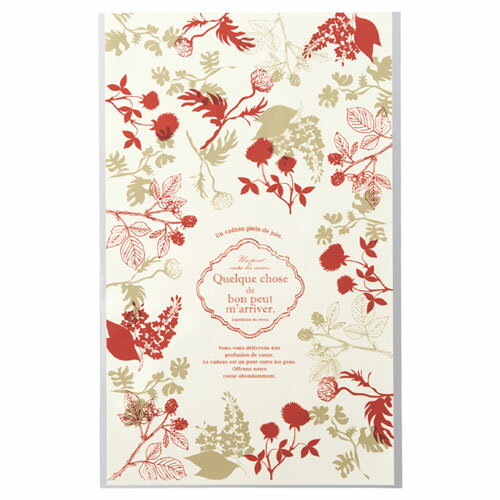 【まとめ買い10個セット品】モダンリラックス OPPギフトバッグ 14×22 50枚 61-262-4-1【店舗什器 小物 ディスプレー ギフト ラッピング 包...