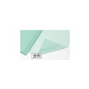 【まとめ買い10個セット品】薄葉紙 ライトグリーン 79×109cm 200枚 61-281-12-14【 ラッピング用品 包装紙 薄葉紙・不織布 薄葉紙 】【...