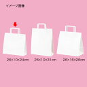 【まとめ買い10個セット品】平ひも ローコストタイプ 白無地 26×10×24 300枚 61-800-87-15【店舗什器 小物 ディスプレー ギフト ラッピ...