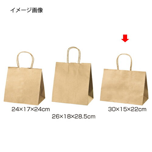 丸ひもタイプ 茶無地 30×15×22 200枚 61-431-24-15【店舗什器 小物 ディスプレー ギフト ラッピング 包装紙 袋 消耗品 店舗備品】【ECJ】
