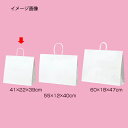 【まとめ買い10個セット品】丸ひもタイプ 白無地 41×22×39 50枚 61-431-25-10【店舗什器 小物 ディスプレー ギフト ラッピング 包装紙 ...