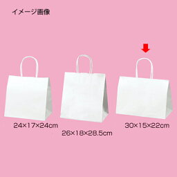 丸ひもタイプ 白無地 30×15×22 50枚【店舗什器 小物 ディスプレー ギフト ラッピング 包装紙 袋 消耗品 店舗備品】【ECJ】