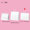 【まとめ買い10個セット品】丸ひもタイプ 白無地 41×11.5×32.5 50枚 61-431-25-9【店舗什器 小物 ディスプレー ギフト ラッピング 包...