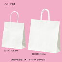 スムースバッグ 白無地 32×11.5×45 25枚 61-309-5-8【ラッピング用品 紙袋 手提げ紙袋(無地) 持ち手付き紙袋】【店舗什器 小物 ディスプ...
