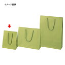 【まとめ買い10個セット品】手提げ紙袋 カラークラフト袋 ひわ 20×12×25cm 10枚【 ラッピング用品 紙袋 手提げ紙袋（無地） カラー手提げ紙袋 】【 包装 ラッピング袋 紙袋 ペーパーバッグ 中身が見えにくい 無地 クラフト袋 手提げ袋 手提げ紙袋 業務用 】【ECJ】