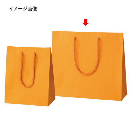 カラー手提げ紙袋 オレンジ 33×10×29 100枚 61-313-13-5【ラッピング用品 ラッピングシリーズ バレンタイン・イースター・入学 カラー手提げ紙袋 オレンジHEIKO 紙袋 プレーンチャームバッグ】【ECJ】