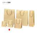 【まとめ買い10個セット品】エンボス クラフト 12×7×16.5 50枚 61-313-9-9【店舗什器 小物 ディスプレー ギフト ラッピング 包装紙 袋 ...