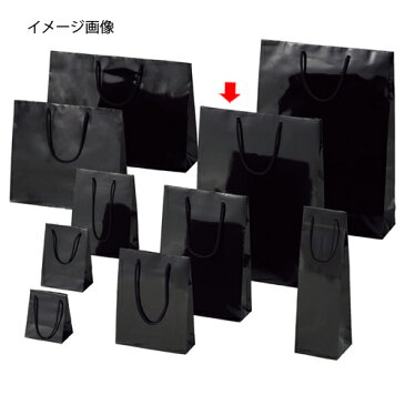 手提げ紙袋 ブライトバッグ クロ 33×10×45cm 10枚【 ラッピング用品 ラッピングシリーズ バレンタイン・イースター・入学 ブライトバッグ ブラックシモジマ 紙袋 ツヤ有り 黒 】【ECJ】