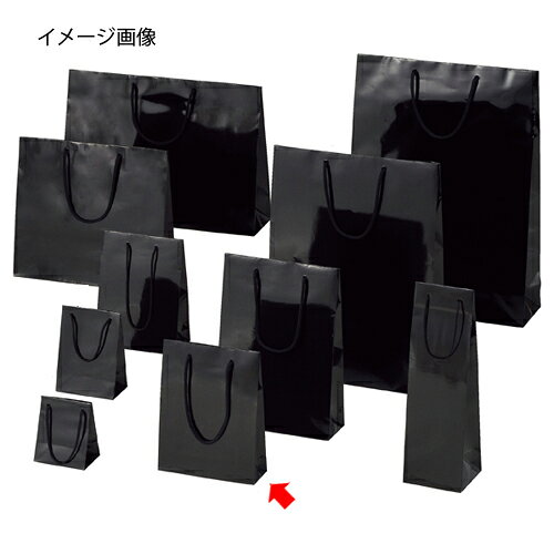 【まとめ買い10個セット品】ブライトバッグ ブラック 18.5×6.5×24 10枚 61-314-2-6...
