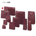 ブライトバッグ エンジ 33×10×30 150枚 61-314-3-21【ラッピング用品 ラッピングシリーズ バレンタイン・イースター・入学 ブライトバッグ ...