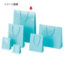 ブライトバッグ アサギ 33×10×45 10枚 61-314-6-10【ラッピング用品 ラッピングシリーズ バレンタイン・イースター・入学 ブライトバッグ ア...