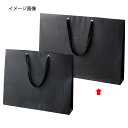 【まとめ買い10個セット品】ショルダーバッグ ブラック 黒ひも 60×10×42 50枚 61-317-11-4【店舗什器 小物 ディスプレー ギフト ラッピン...