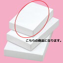 ギフトケース白 14×21.3×4.5cm 10枚 61-781-88-6【ラッピング用品 ギフトボックス ギフトケース・貼箱 ギフトケース 白 10枚入】【ラ...