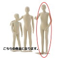 子供フレキシブルマネキン 身長130cm 61-186-3-6【演出・ディスプレイ用品 子供ボディ 腕付きボディ 子供フレキシブルマネキン 小物 ディスプレー ...
