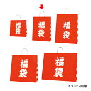 【まとめ買い10個セット品】福袋 32×11.5×41 50枚 61-312-1-2【店舗什器 小物 ディスプレー 店舗備品】【ECJ】
